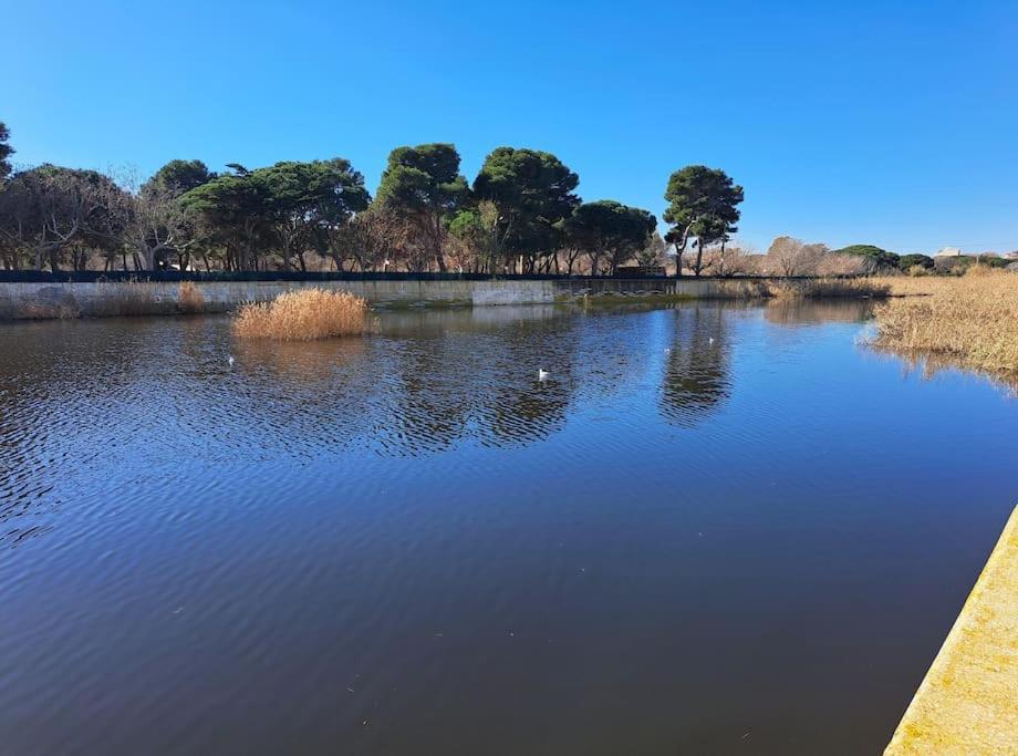 Apartamento A 50 Metros De La Playa. Platja d'Aro Eksteriør bilde